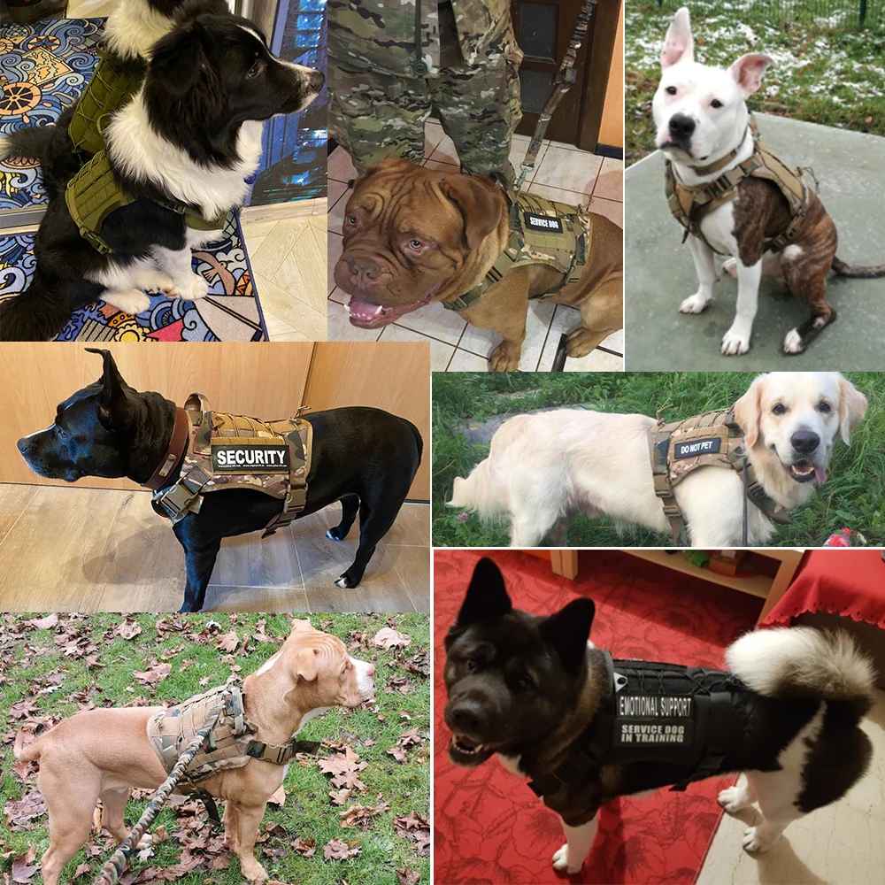 Large Dog Military-Style Dog Harness with Collar, Leash & Pouch Set | Tactical Dog Training Vest 22