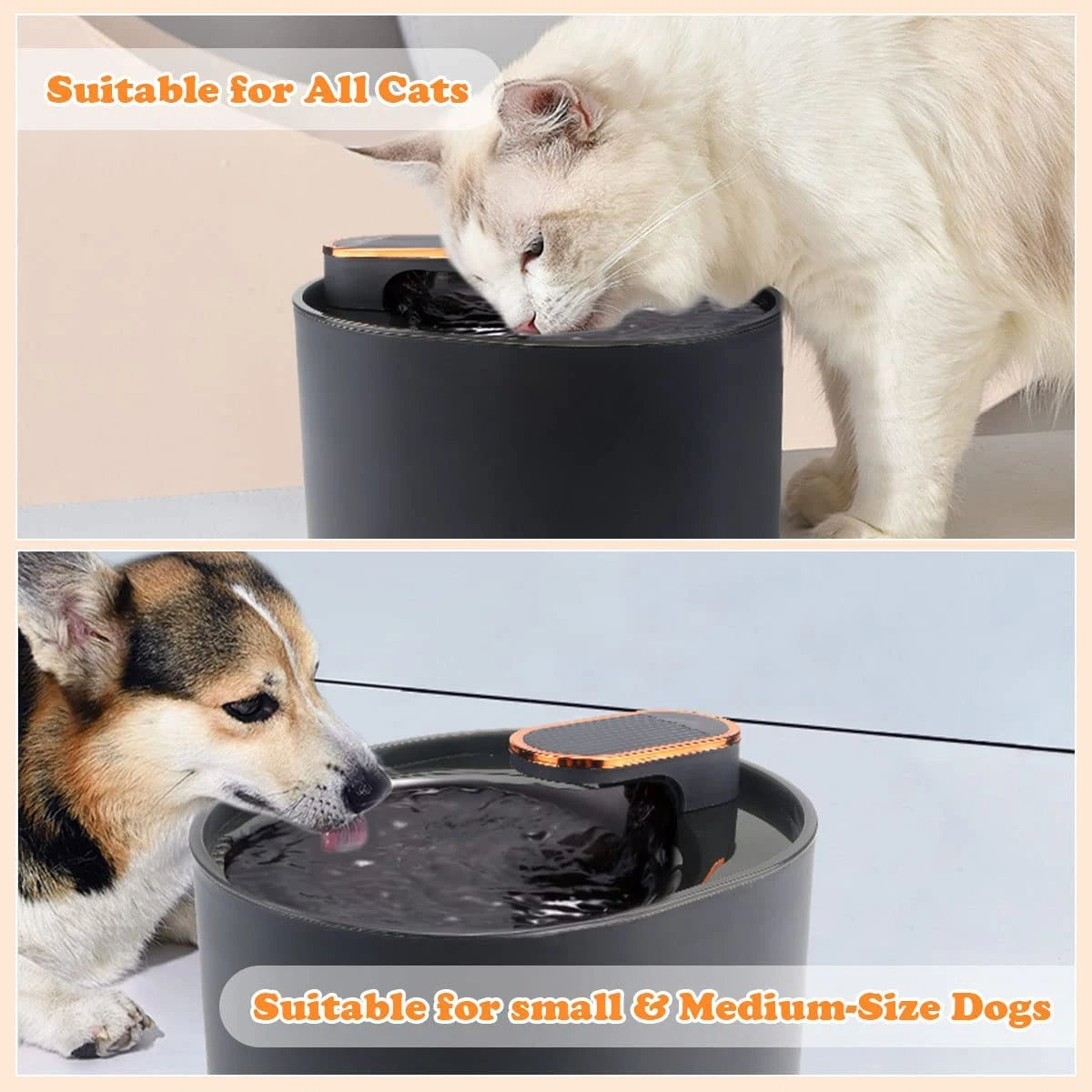 Automatic Cat Water Fountain with Silent Motion Sensor & LED Light | USB Rechargeable 8