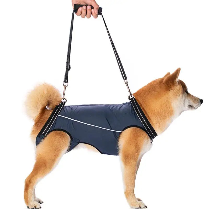 Dog Lift Harness for Injured & Senior Dogs with Arthritis | Adjustable Full Body Dog Support Sling for Rehab 1