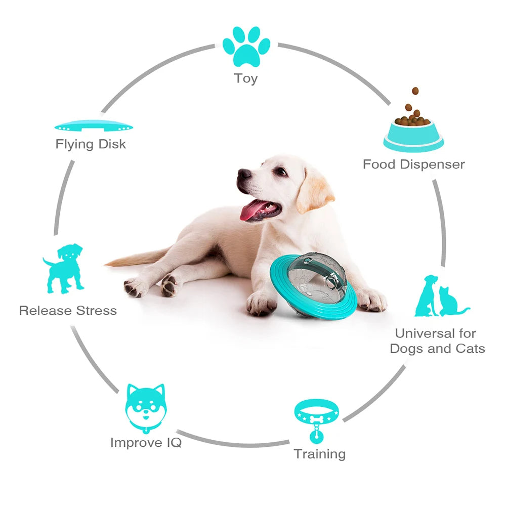Interactive Dog Treat Ball Toy for Slow Feeding of Biscuits & Food
