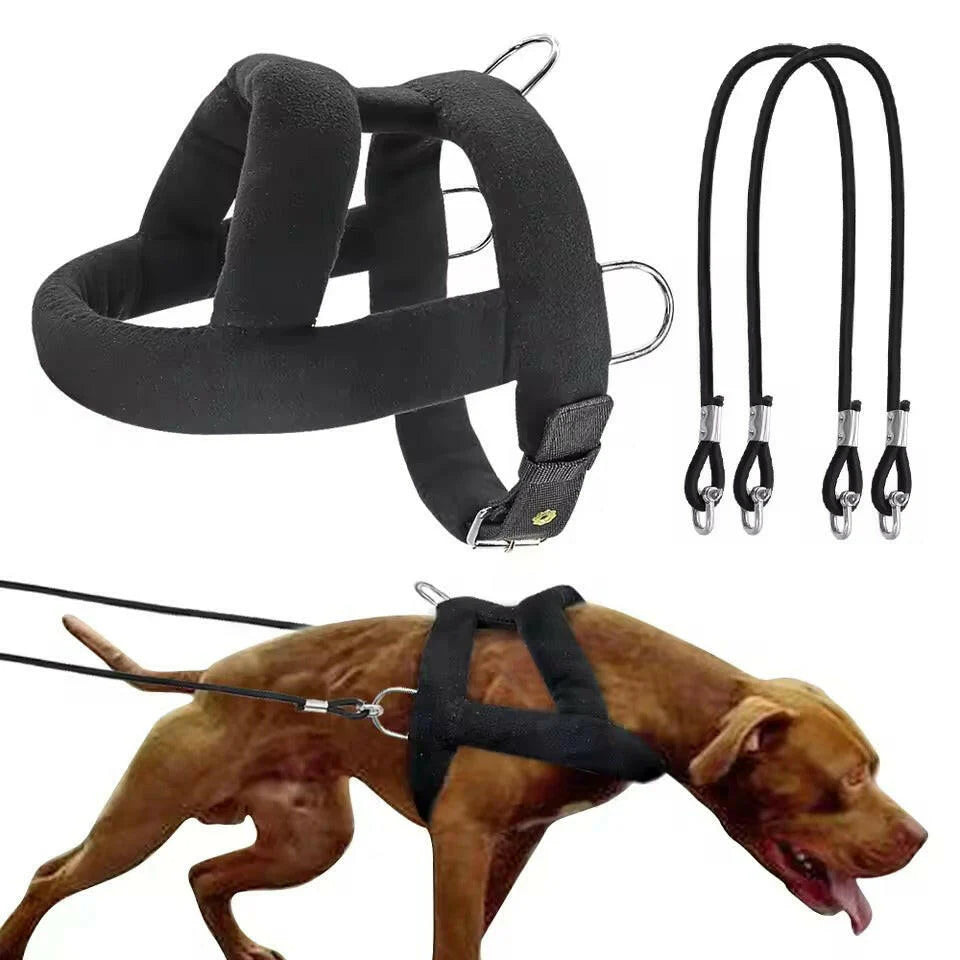 Heavy-Duty Dog Weight Pulling Harness with Padded Comfort for Strength Training 2