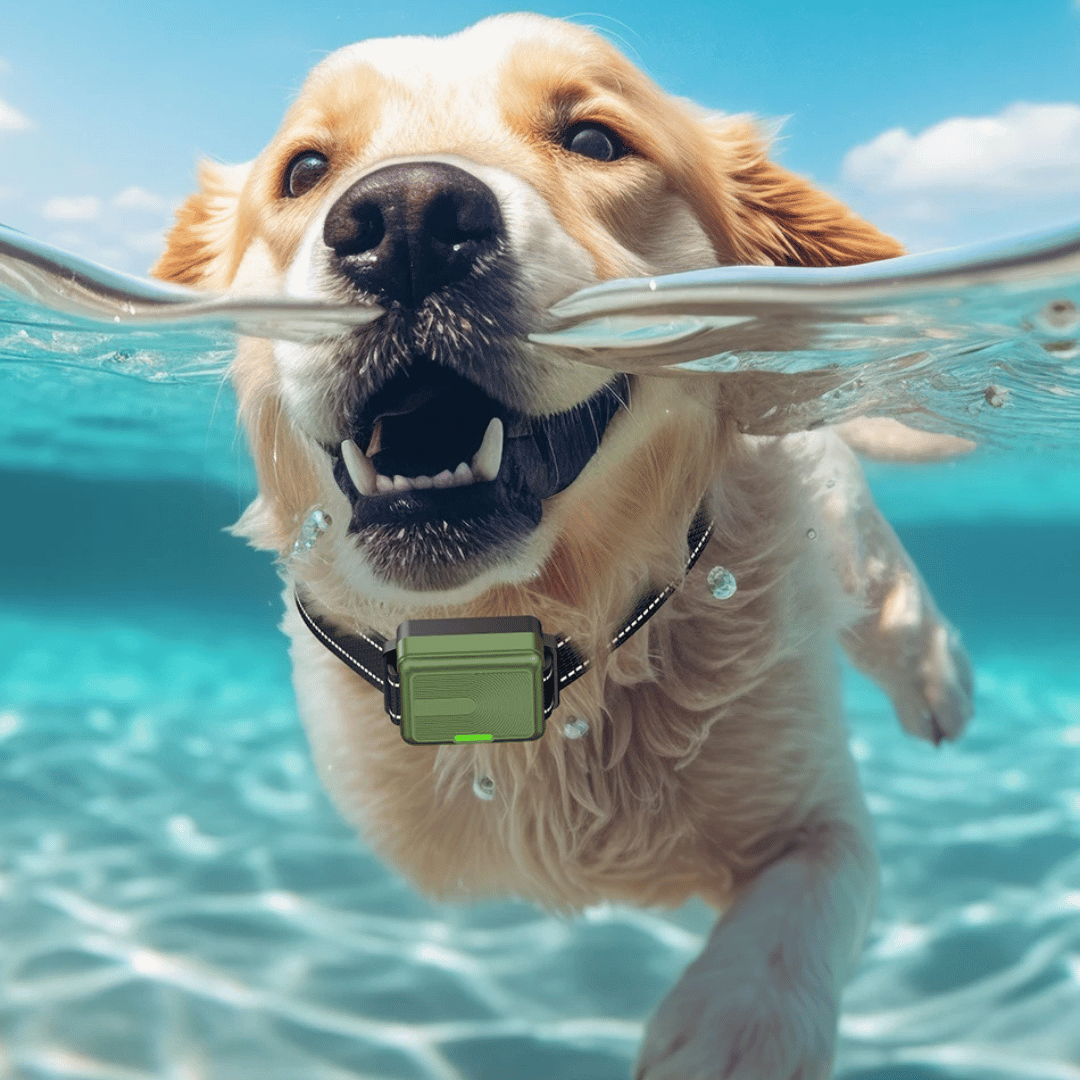 300m-smart-dog-training-collar-remote-control-22