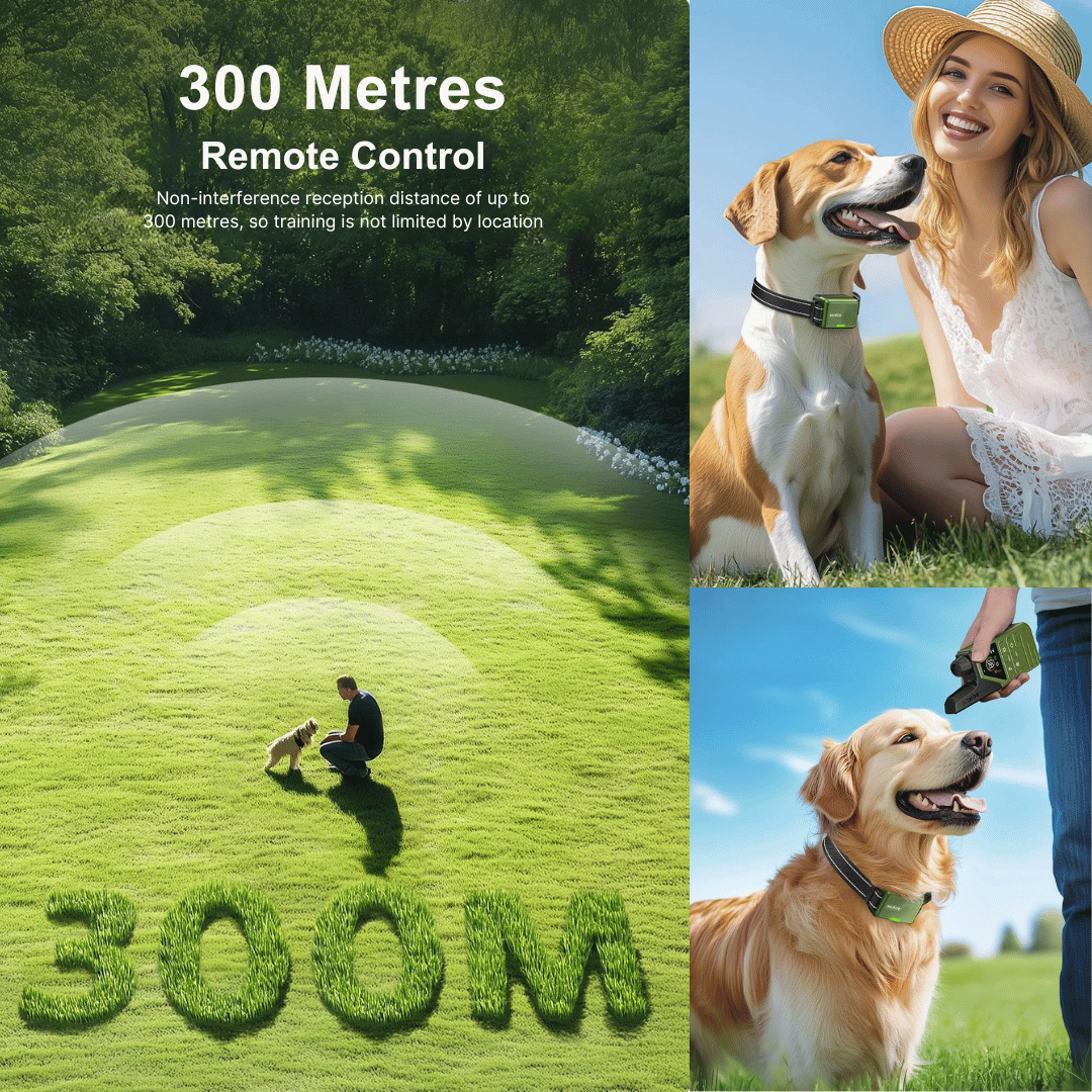 300m Smart Dog Training Collar & Remote Control 3