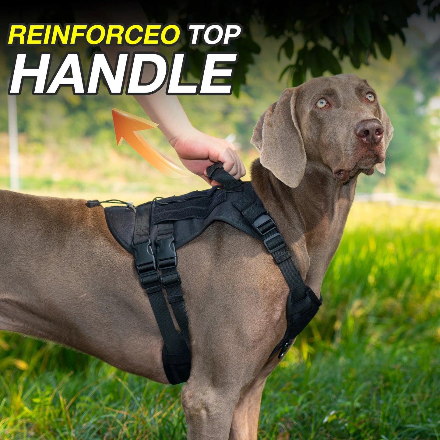 Reinforced Military-Style Dog Harness for Larger Breeds with Handle | Tactical Dog Training Vest 15