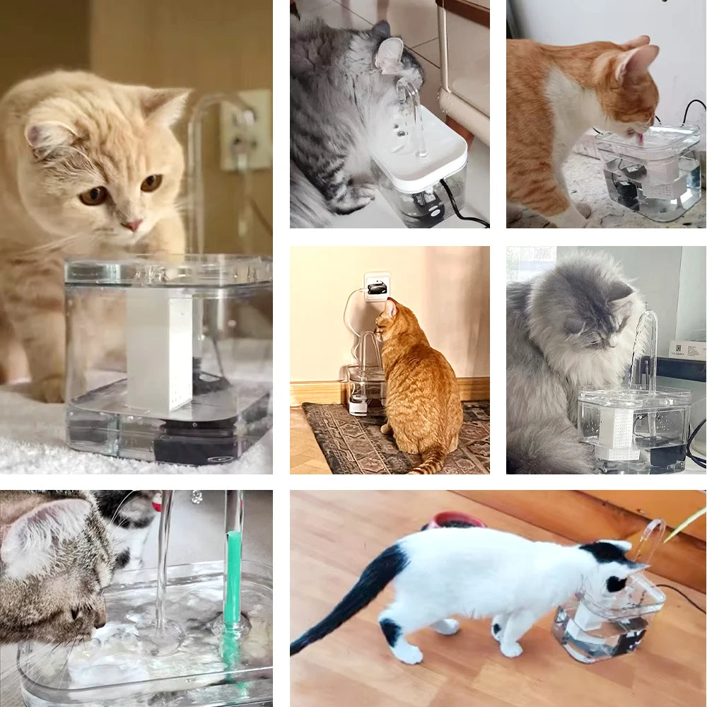 1.5L Automatic Cat Water Fountain & Filter | USB Rechargeable