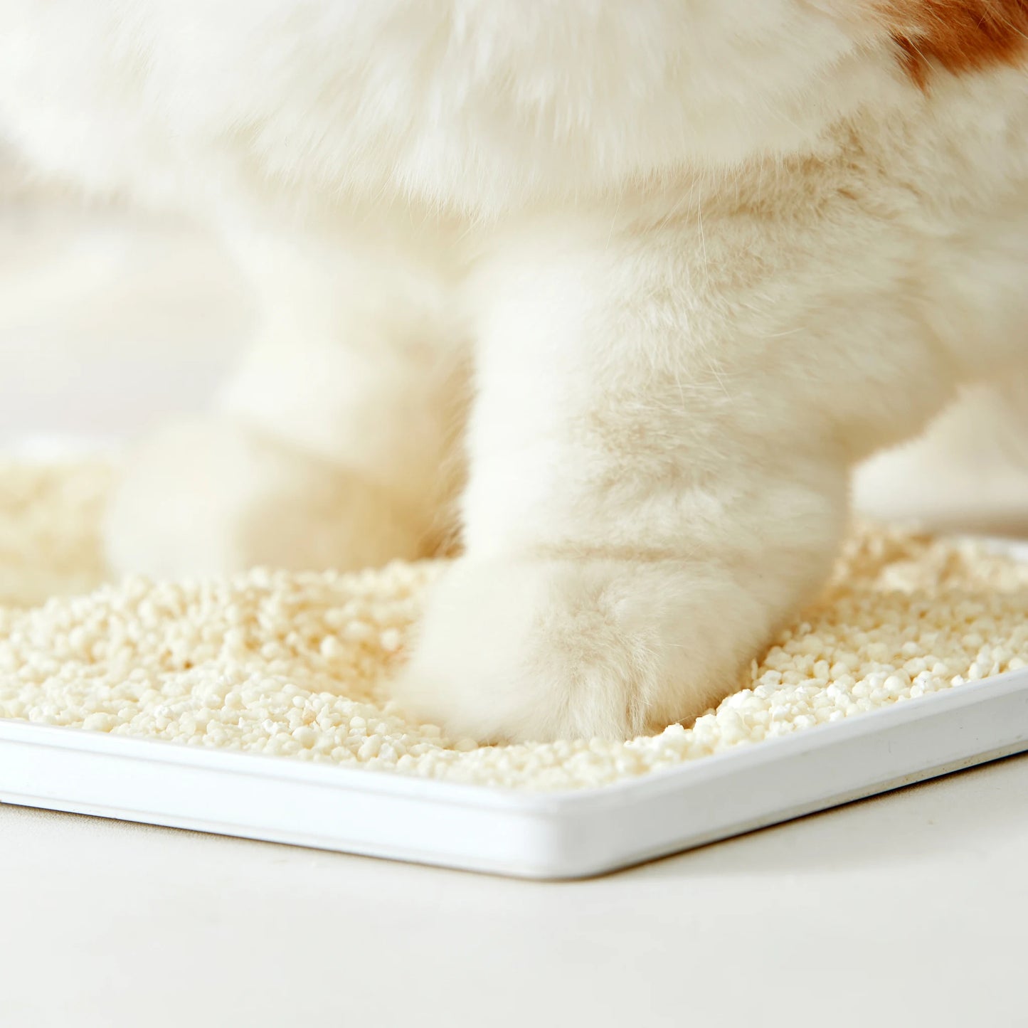 Non-Stick & Unscented Plant-Based Cassava Cat Litter | Biodegradable & Flushable