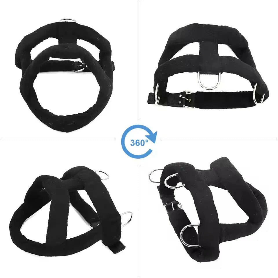Heavy-Duty Dog Weight Pulling Harness with Padded Comfort for Strength Training 9