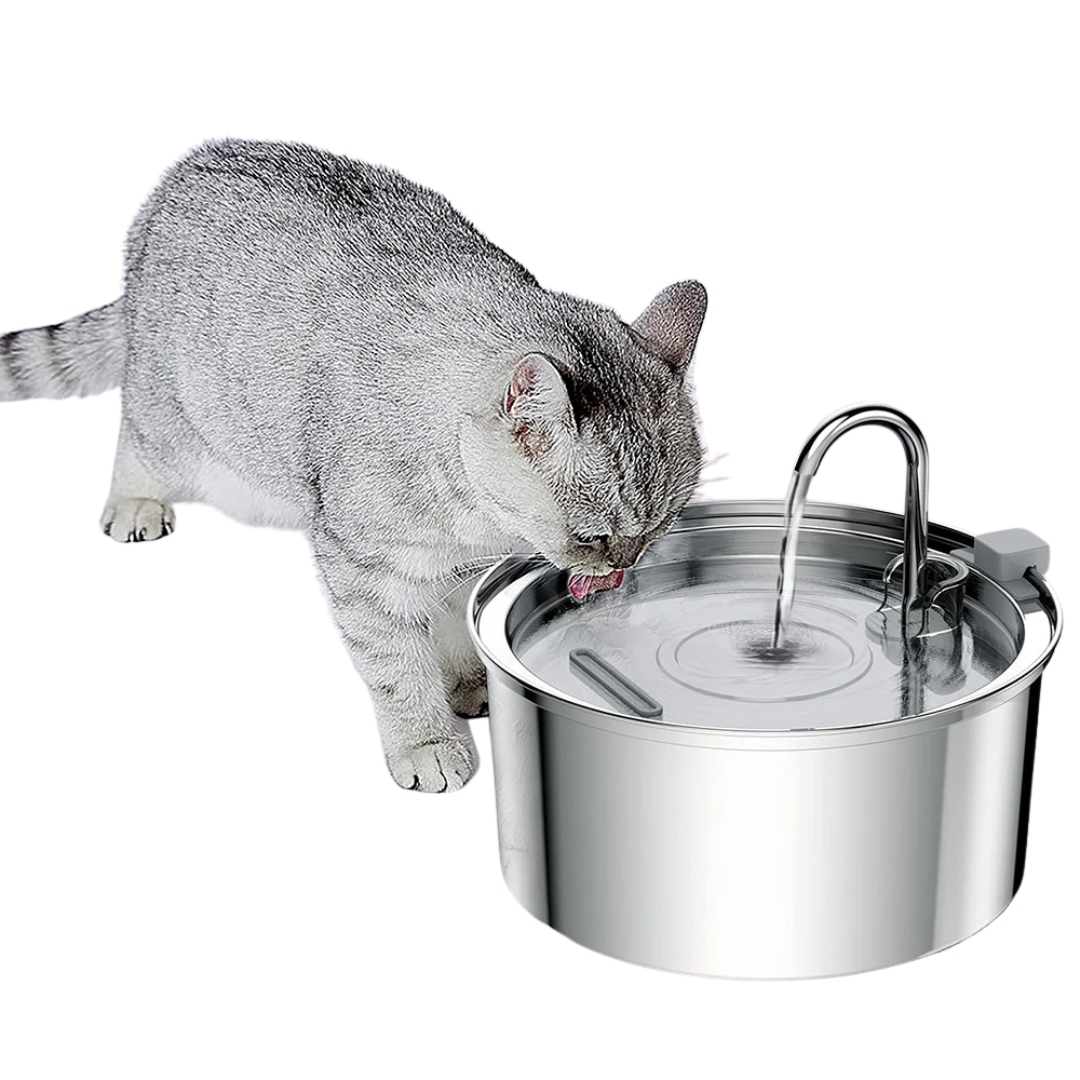 Stainless Steel Automatic Cat Water Fountain with Quiet Motion Sensor | USB Rechargeable