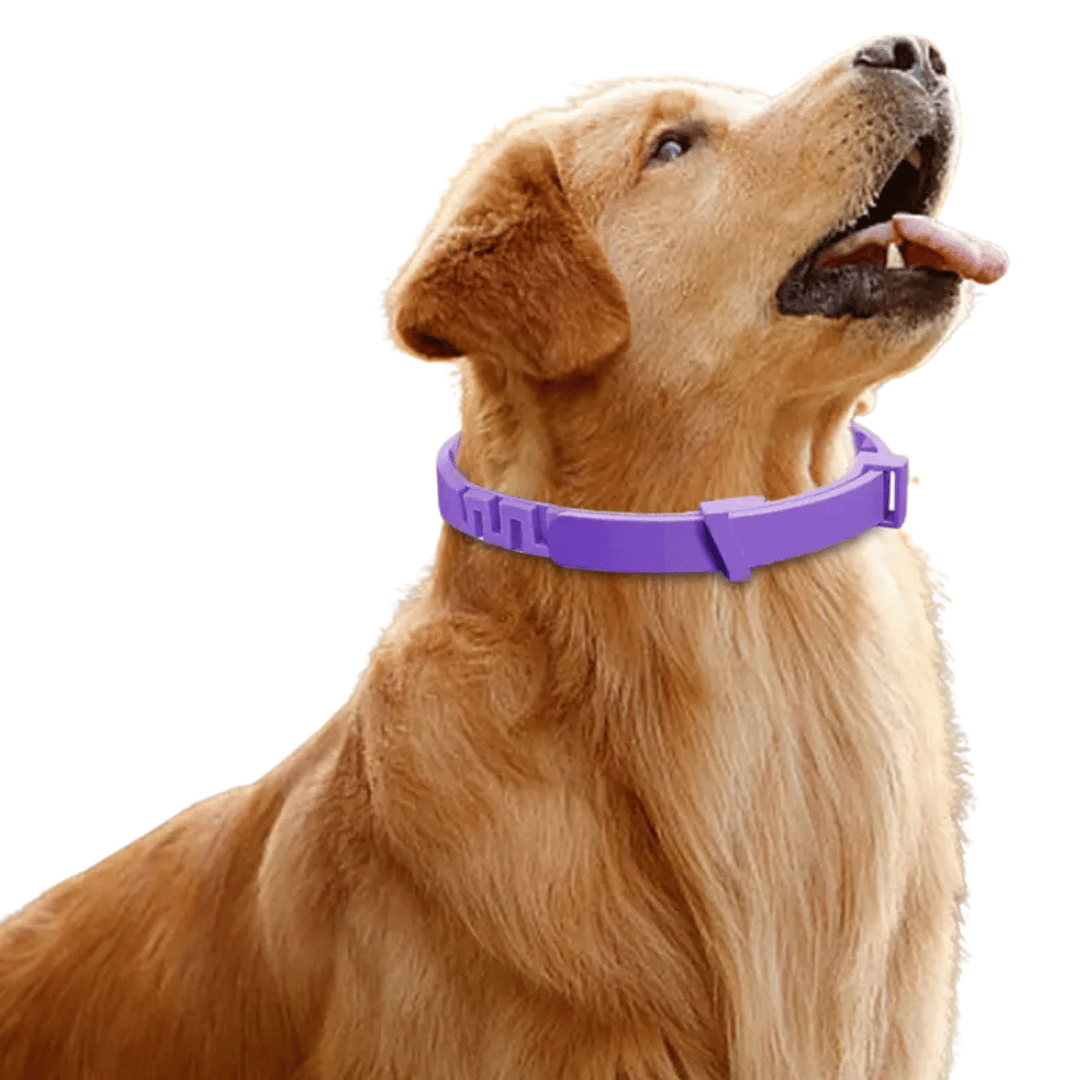 Dog Calming Collar with Safe Pheromones for Anxiety Relief & Soothing 3