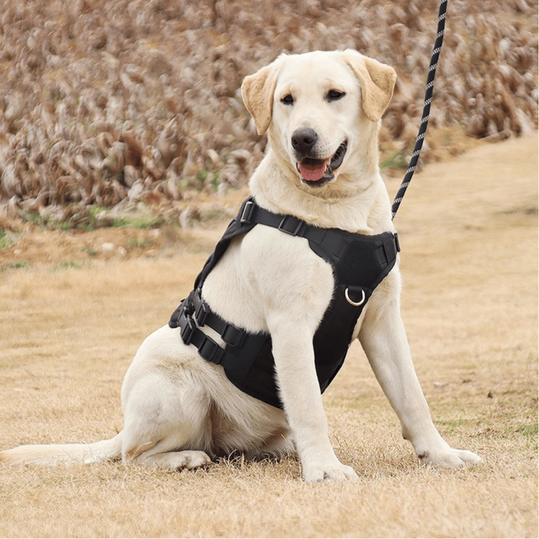 Robust Military-Style Dog Harness with Rubber Handle & Pouch | Tactical Dog Training Vest 18