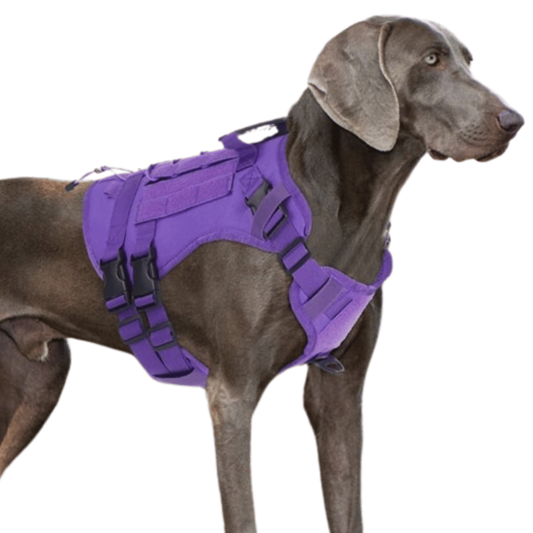 Reinforced Military-Style Dog Harness for Larger Breeds with Handle | Tactical Dog Training Vest 10