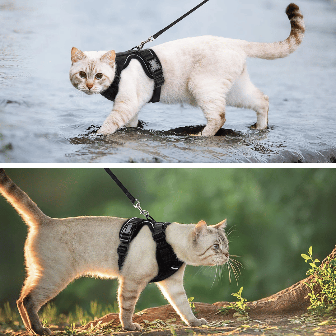 Easy-On-&-Off Soft Mesh Cat Harness & Leash Set 2