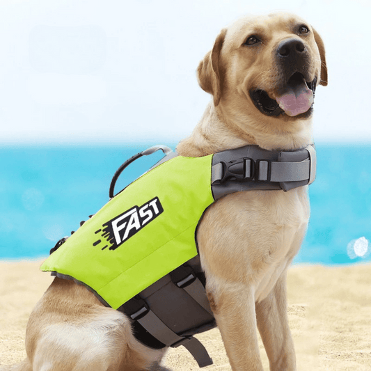 Dog Life Jacket Safety Vest for Swimming | Adjustable & Reflective Dog Swim Vest 1