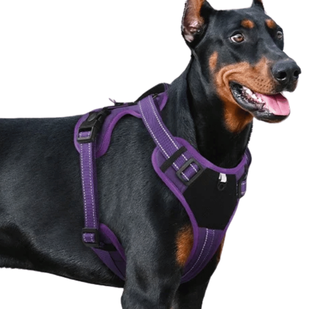 Supportive Dog Harness Training Vest with Reflective Straps 6