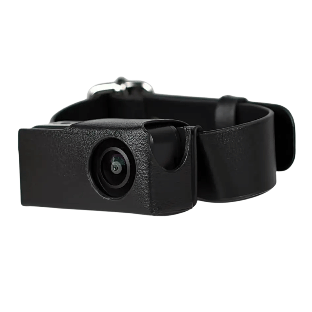 Pet Collar Camera with 160° Wide-Angle Lens | Full HD 1080P Video for Dogs & Cats 2