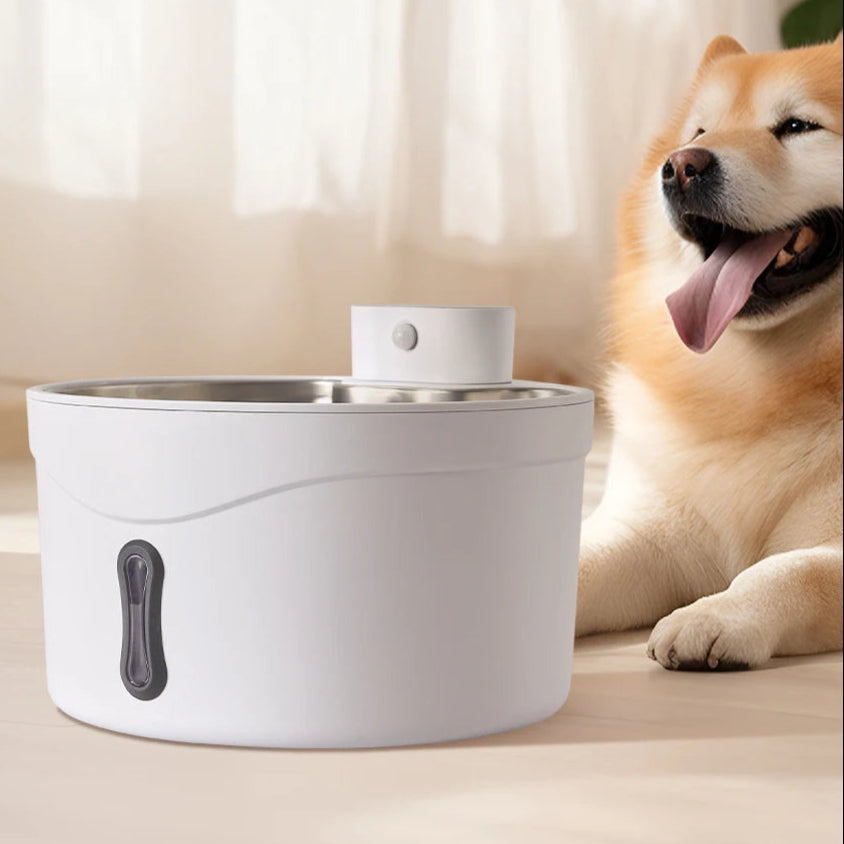 Pet Water Fountain for Fresh Flowing Water for Cats & Dogs | Plug-In & USB Rechargeable 4