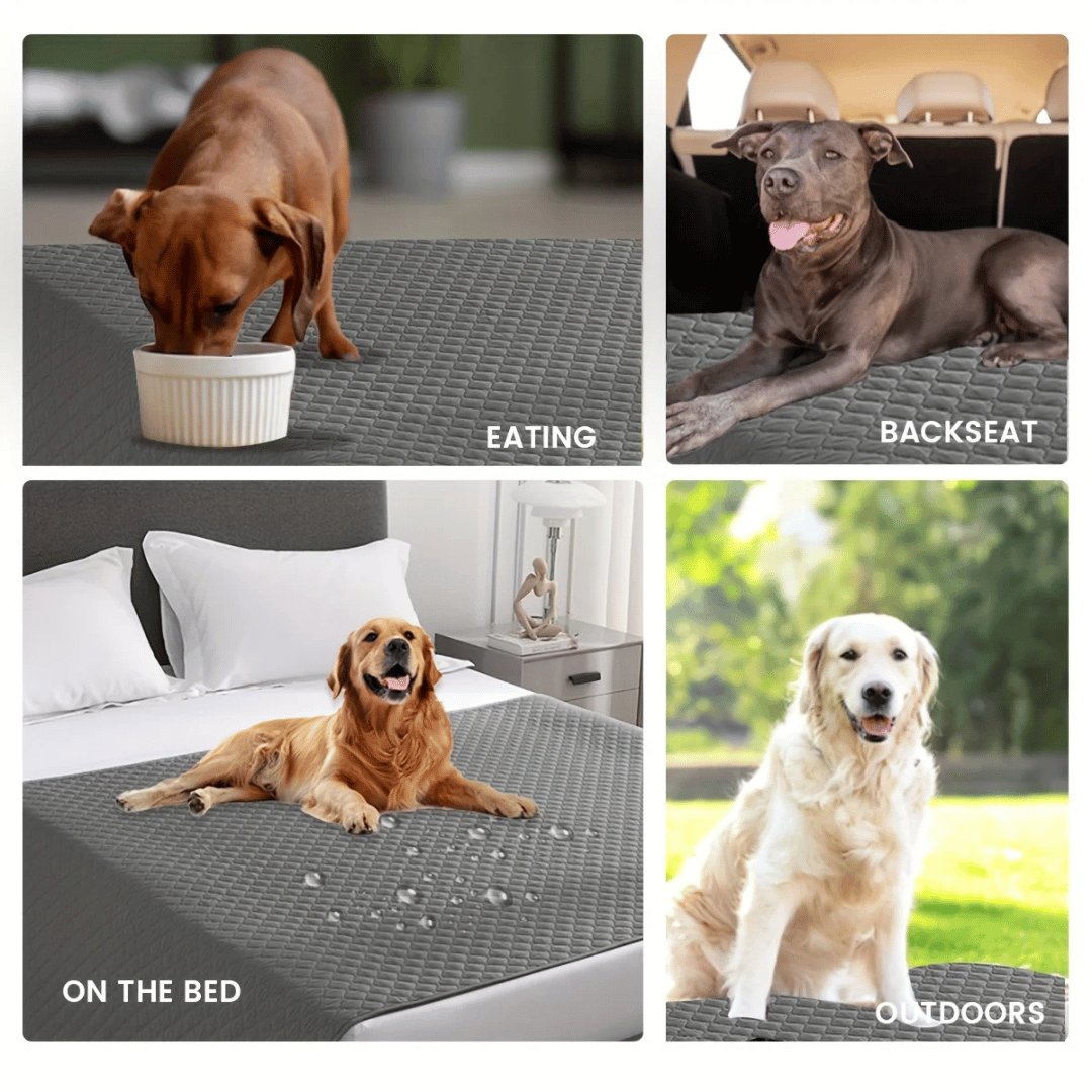 Quilted Water-Resistant Dog Furniture Protector Cover for Beds & Sofas 10