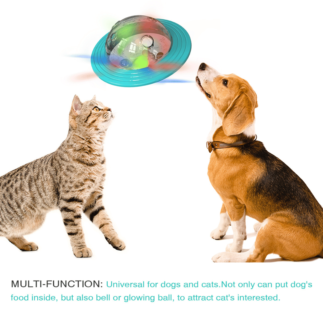 Interactive Dog Treat Ball Toy for Slow Feeding of Biscuits & Food