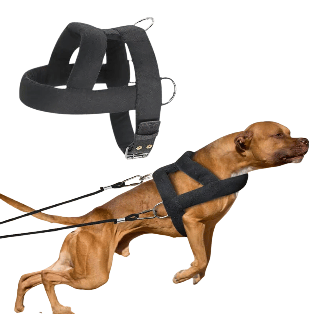 Heavy-Duty Dog Weight Pulling Harness with Padded Comfort for Strength Training 4