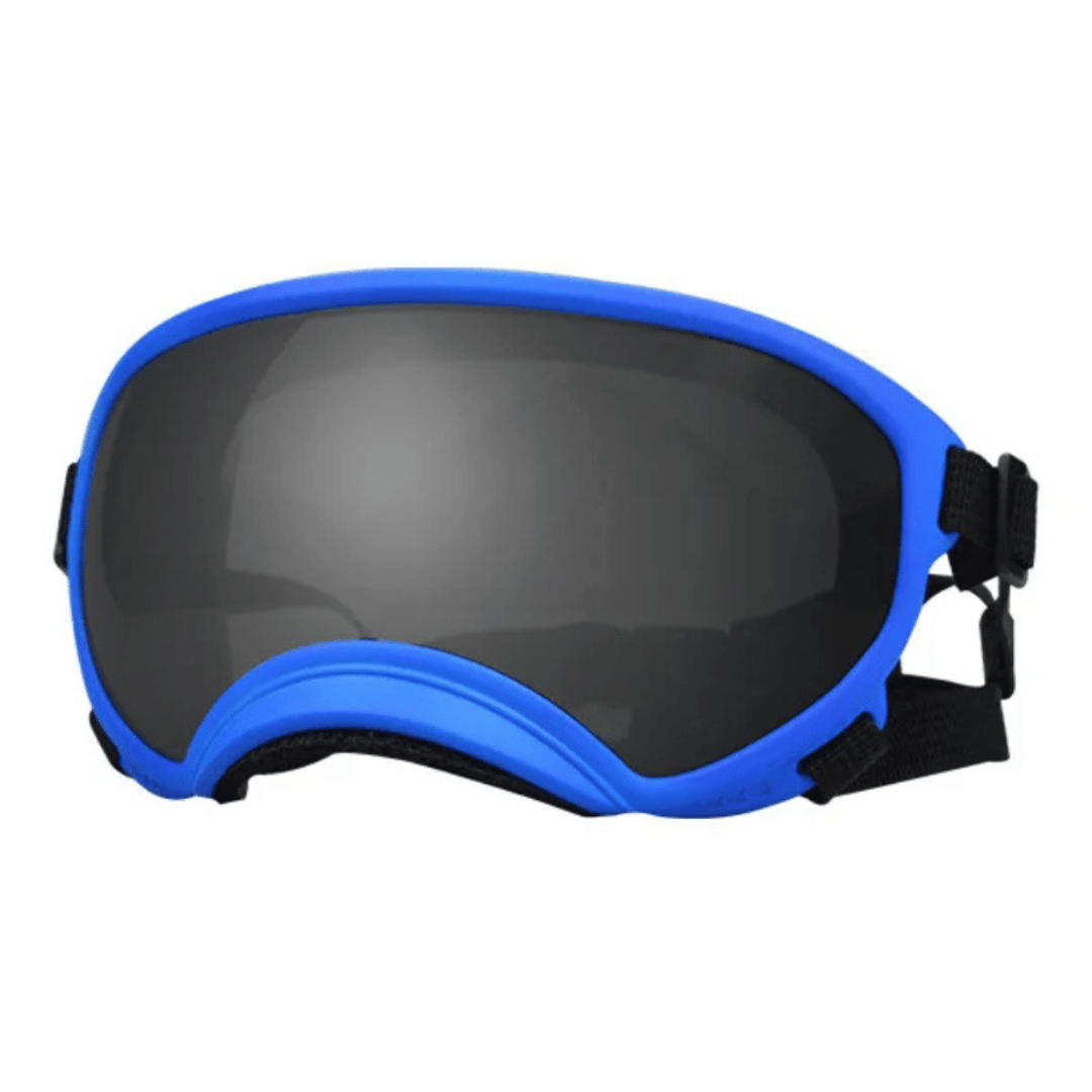 Cool Dog Goggles | UV-Protective & Windproof Dog Sunglasses
