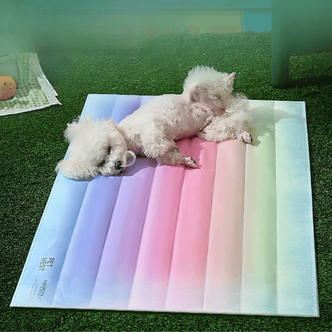 Gel-Filled PVC Dog Cooling Bed | Waterproof & Scratch-Resistant Pet Cool Mat 3