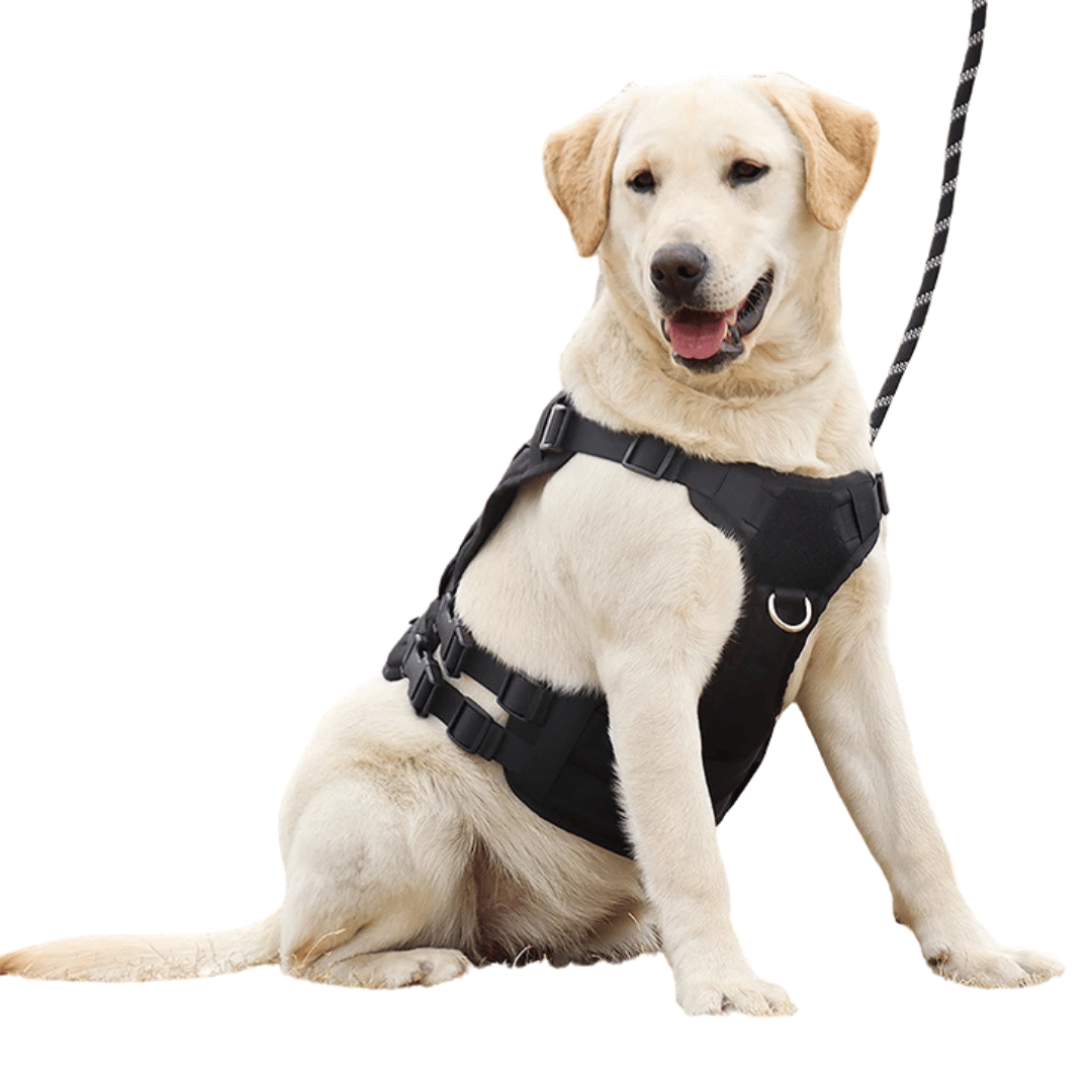 Robust Military-Style Dog Harness with Rubber Handle & Pouch | Tactical Dog Training Vest 8
