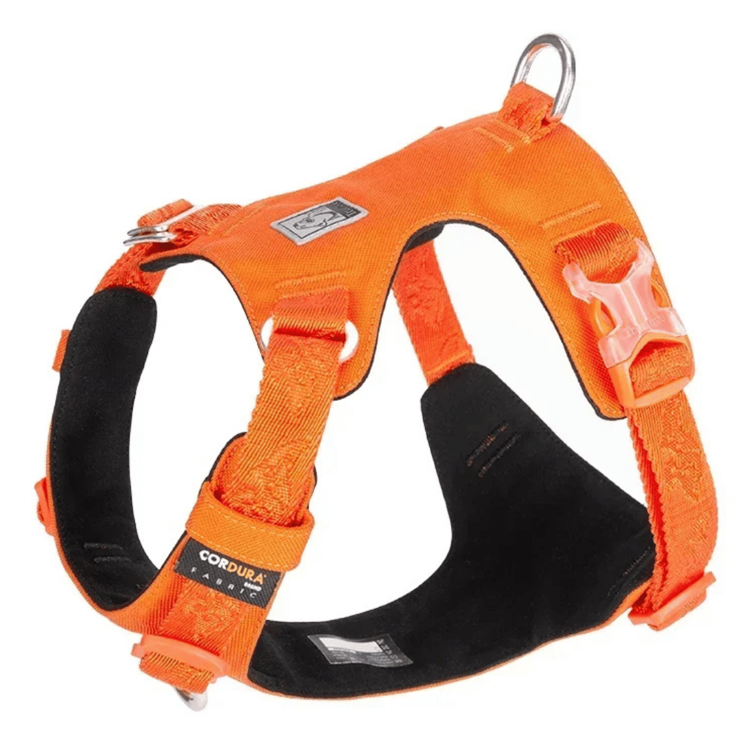 Lightweight & Waterproof Tactical Dog Harness 5