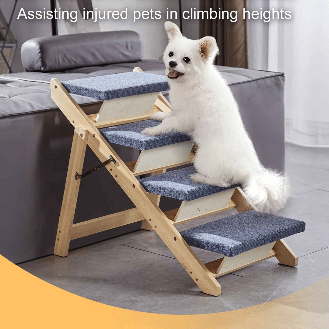 2-In 1 Secure Dog Steps & Ramp 2