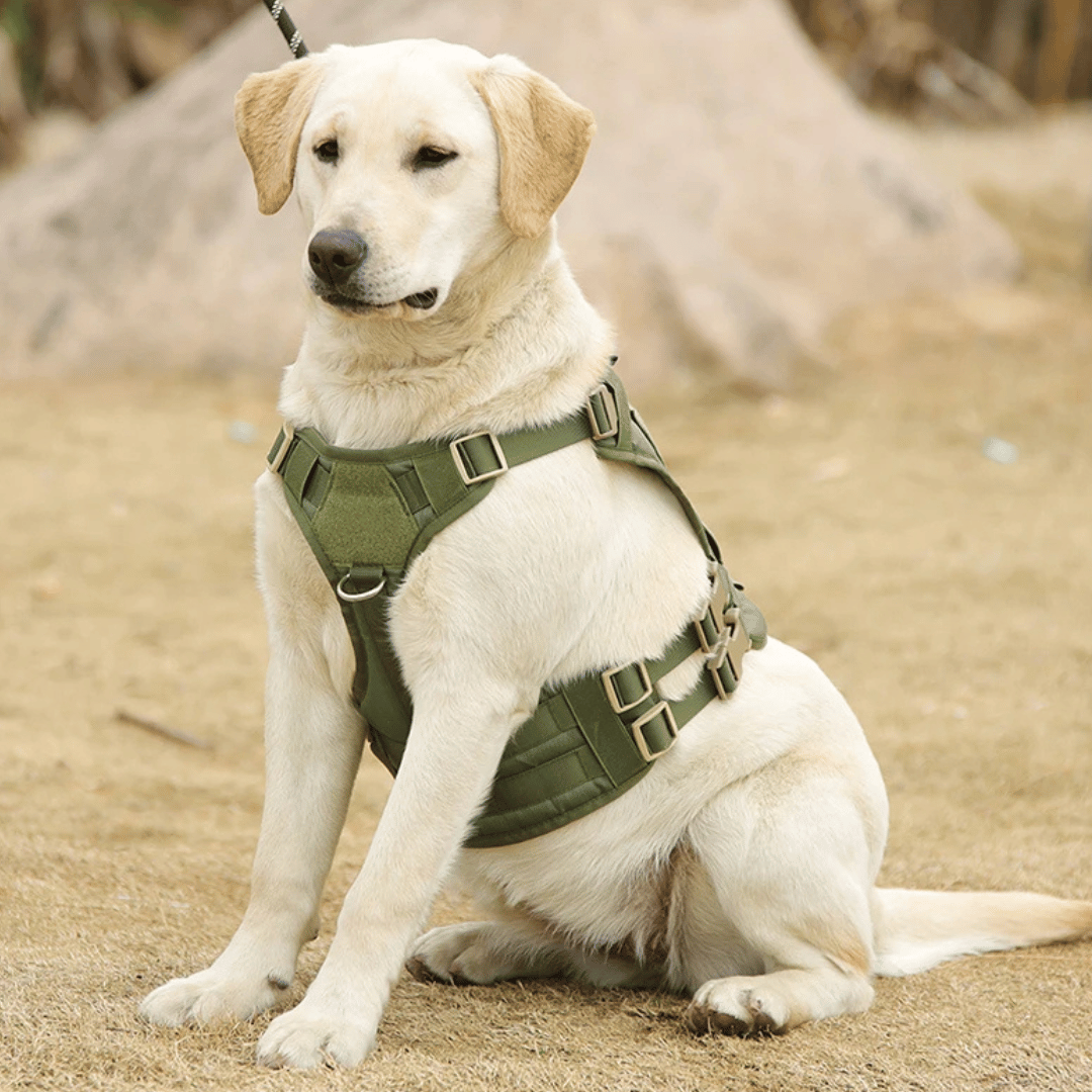 Robust Military-Style Dog Harness with Rubber Handle & Pouch | Tactical Dog Training Vest 19