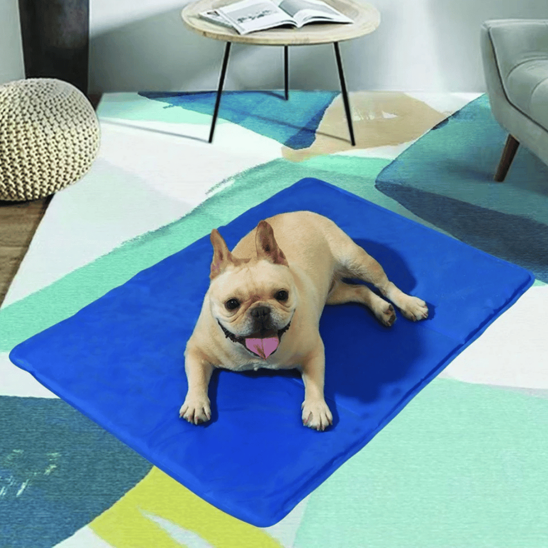 Gel-Filled Dog Cooling Mat | Water-Resistant PVC Pet Cool Pad 2