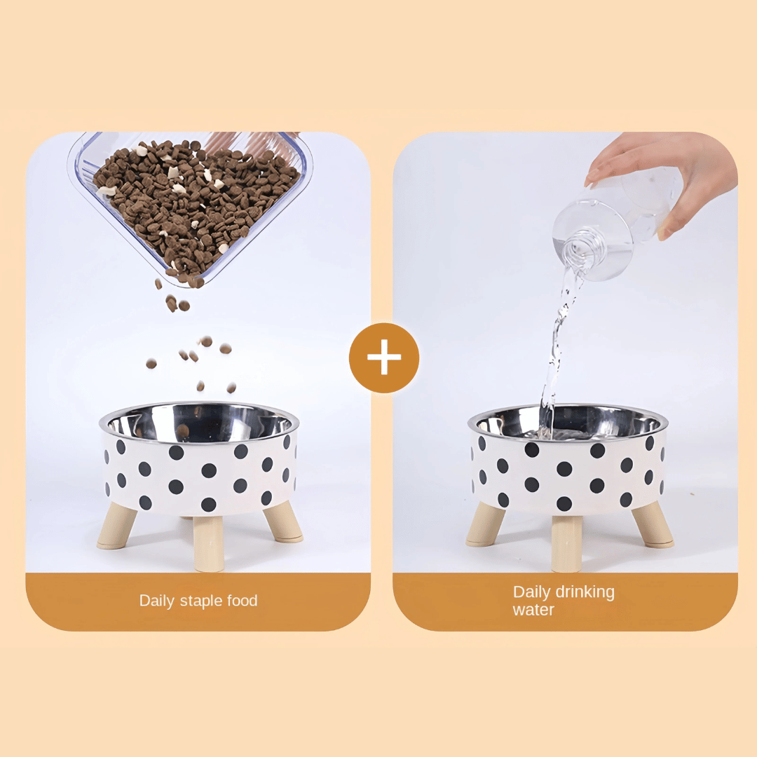 Stable Raised Pet Food Bowl with Removable Stainless Steel Inner Bowl & Non-Slip 4-Legged Base 7