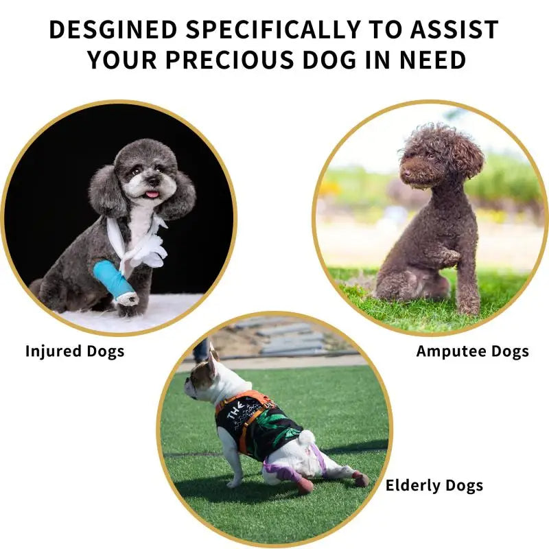 Dog Lift Harness for Injured & Senior Dogs with Arthritis | Adjustable Full Body Dog Support Sling for Rehab 9