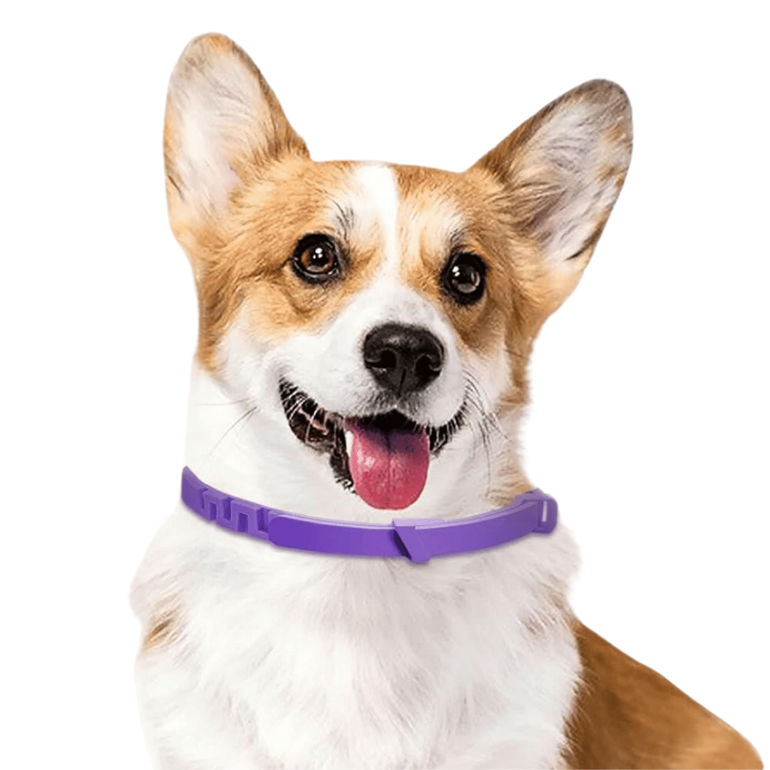 Dog Calming Collar with Safe Pheromones for Anxiety Relief & Soothing 2