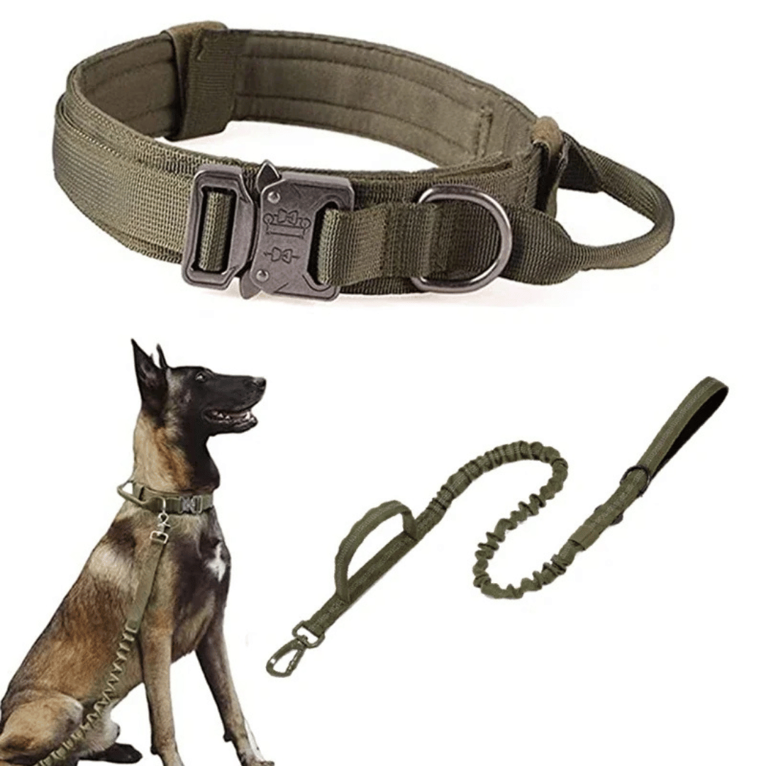 Heavy Duty Military-Style Tactical Dog Collar & Leash for Large & XL Dogs 3
