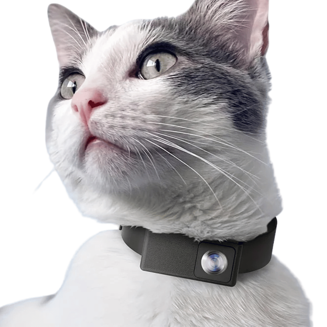 Pet Collar Camera with 160° Wide-Angle Lens | Full HD 1080P Video for Dogs & Cats 1