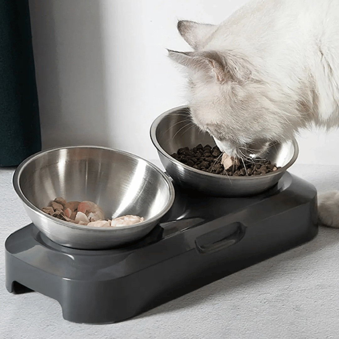 Raised & Tilted Cat & Puppy Feeding Station with Single or Double Stainless Steel Bowls 6