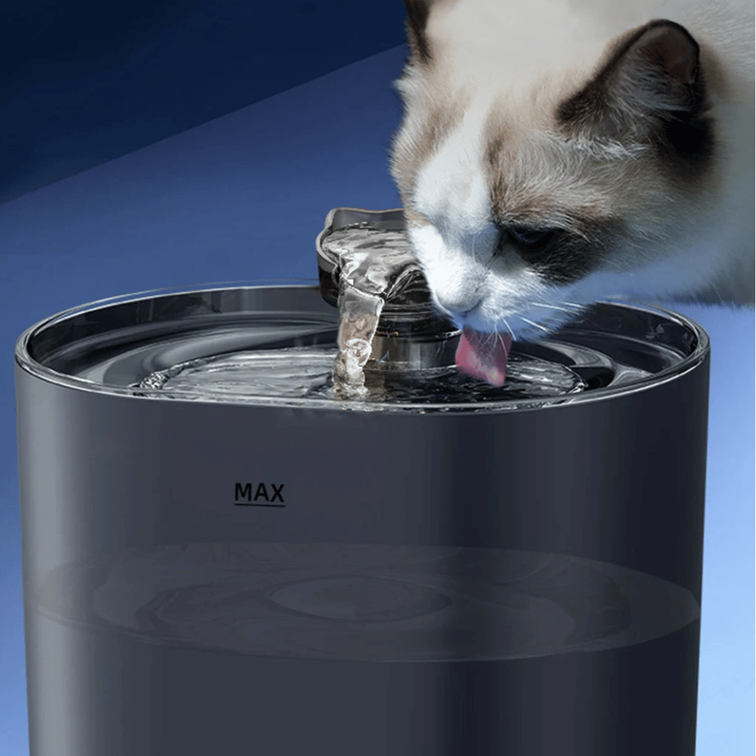 Automatic Cat Water Fountain for Fresh, Flowing & Filtered Pet Drinking 2