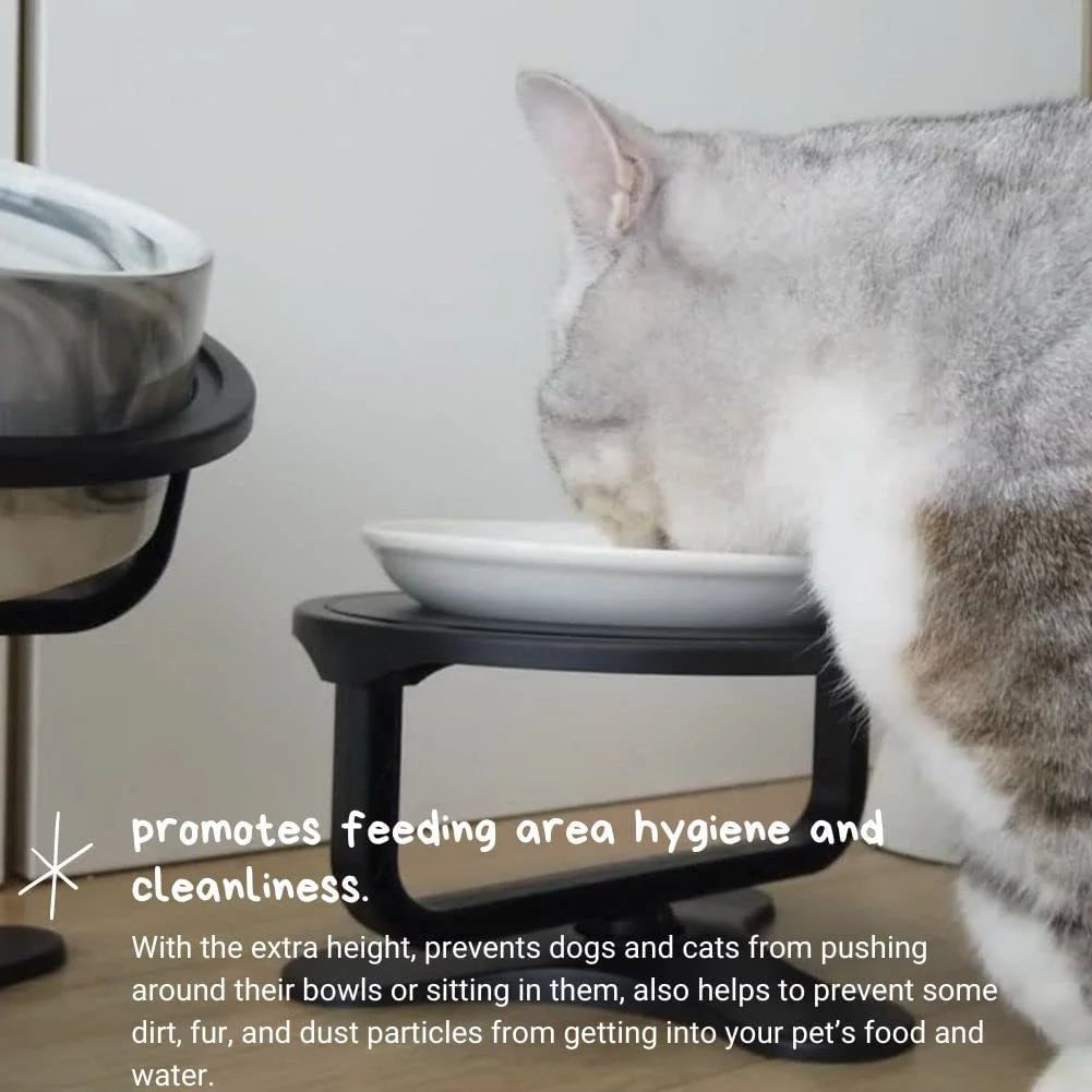 Adjustable Tilt & Height Raised Pet Bowl Stand with Stainless Steel Food Bowl 6