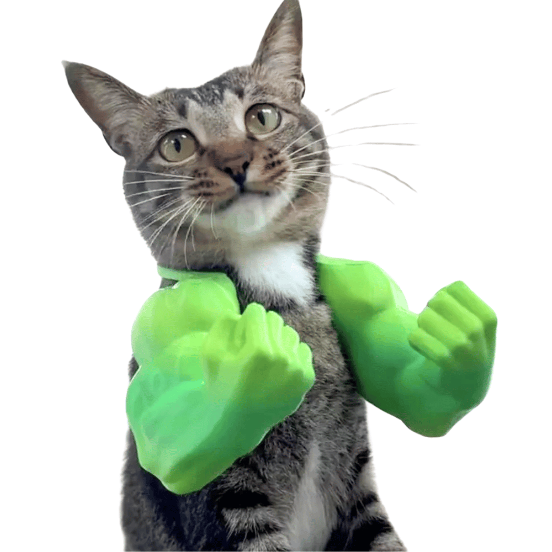 Flexing Feline Cat Muscle Arms | Bodybuilder Arms Funny Cat Costume