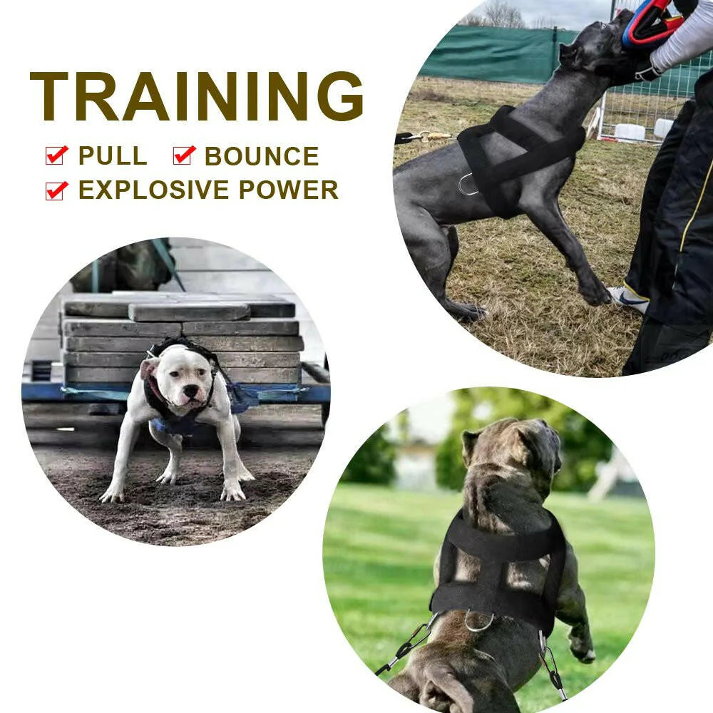Heavy-Duty Dog Weight Pulling Harness with Padded Comfort for Strength Training 6