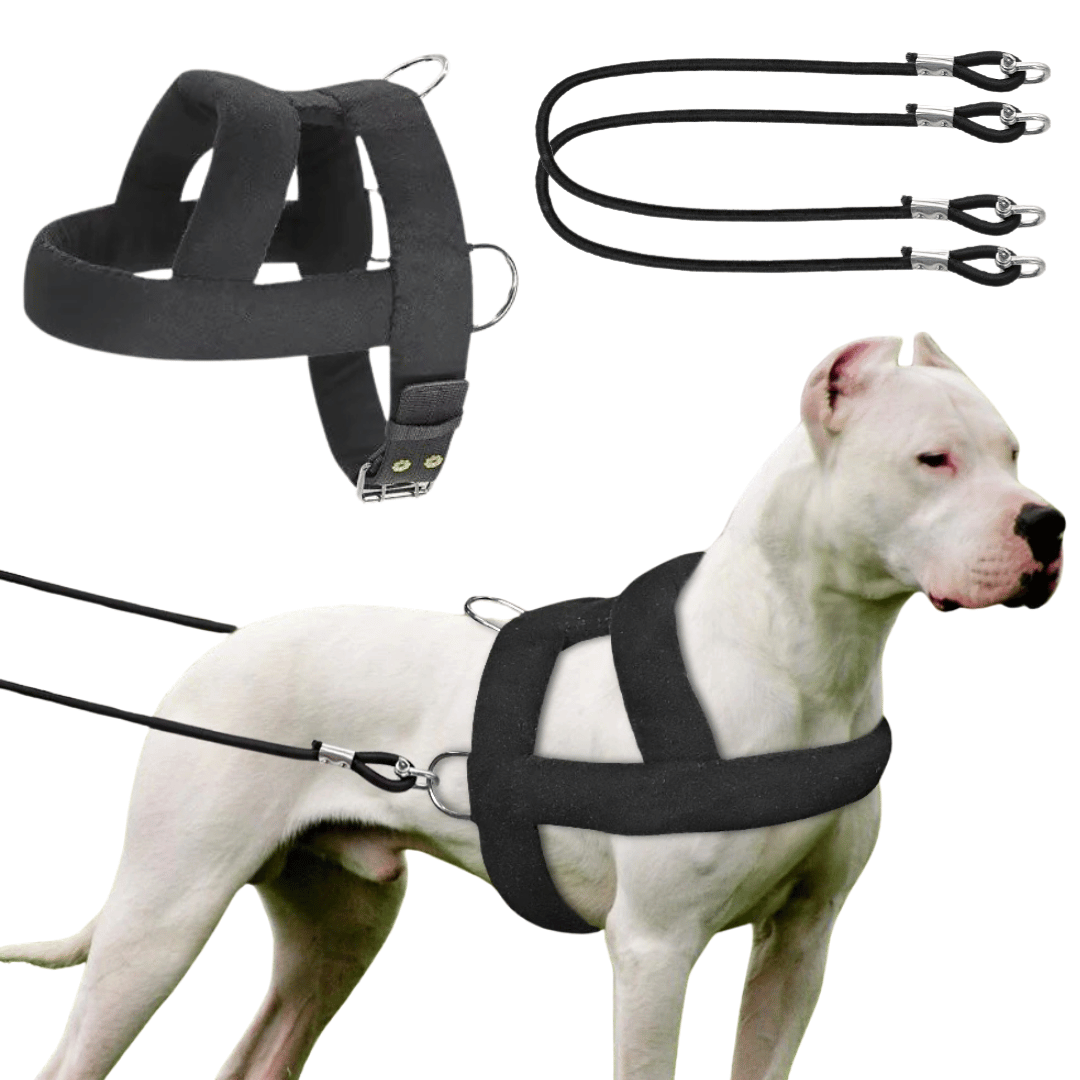 Heavy-Duty Dog Weight Pulling Harness with Padded Comfort for Strength Training 3