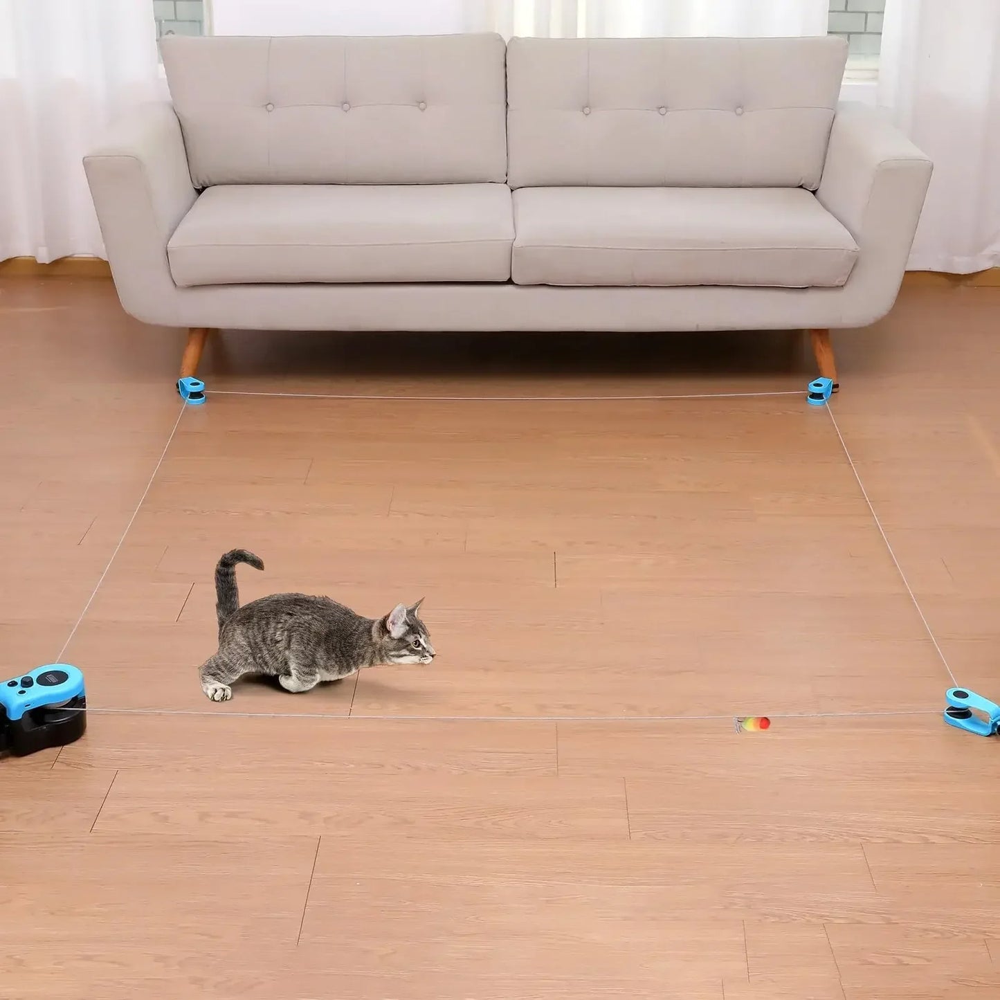 Interactive Cat Hunting Toy | Motion-Based Exercise Game for Indoor Cats