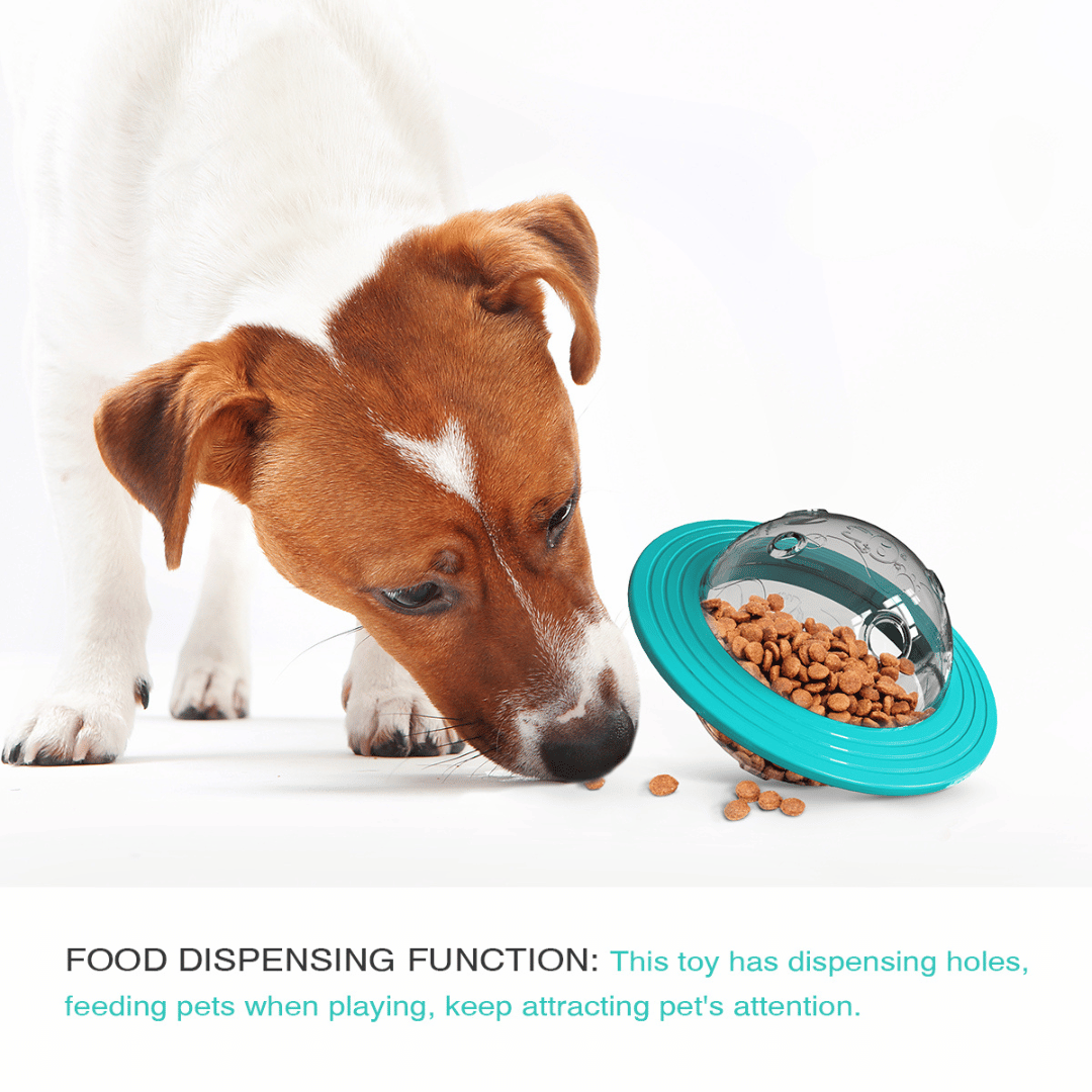 Interactive Dog Treat Ball Toy for Slow Feeding of Biscuits & Food