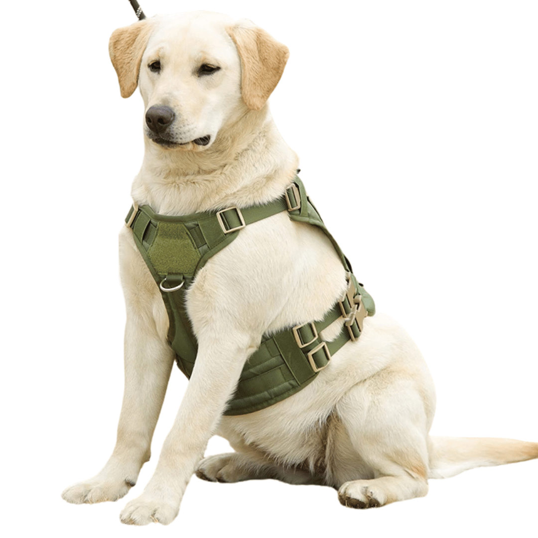 Robust Military-Style Dog Harness with Rubber Handle & Pouch | Tactical Dog Training Vest 2