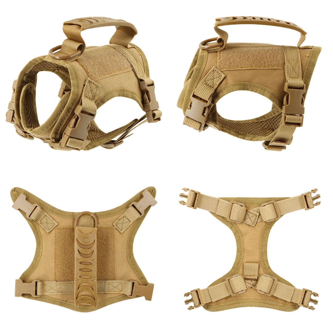 Military-Style Tactical Cat Harness & Leash 25