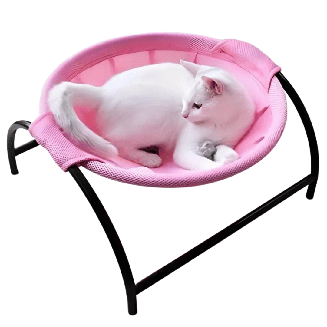 Free-Standing Cat Bed Hammock with Study Frame