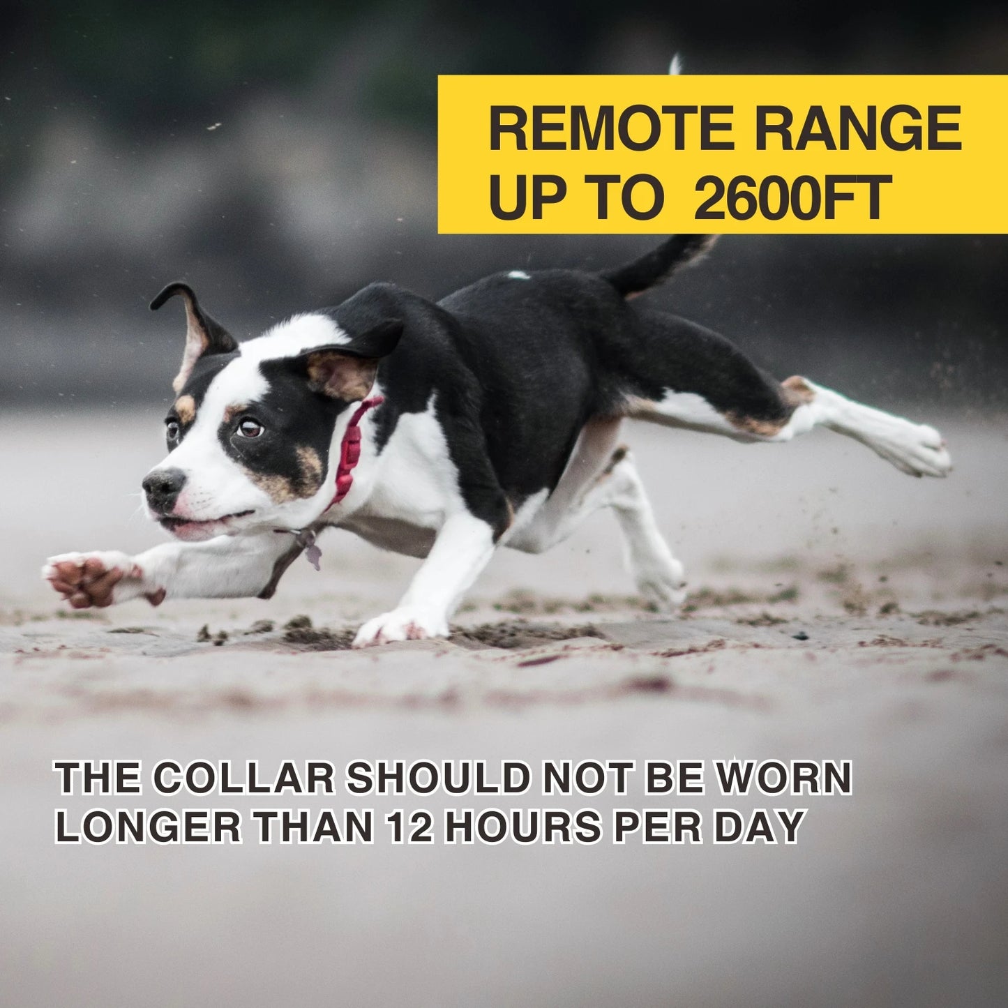 800m No Bark Dog Training Collar | Waterproof & Rechargeable 12