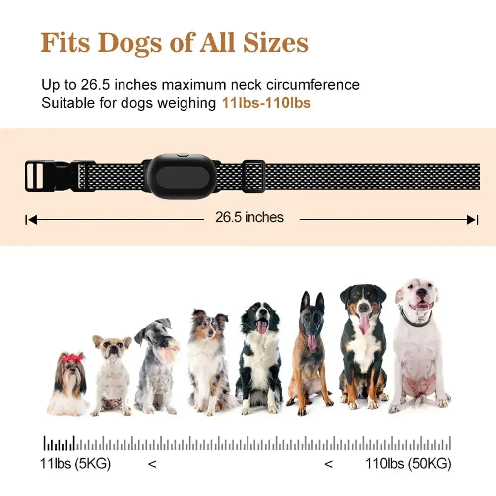 400m Anti-Bark Digital Dog Training Collar 7