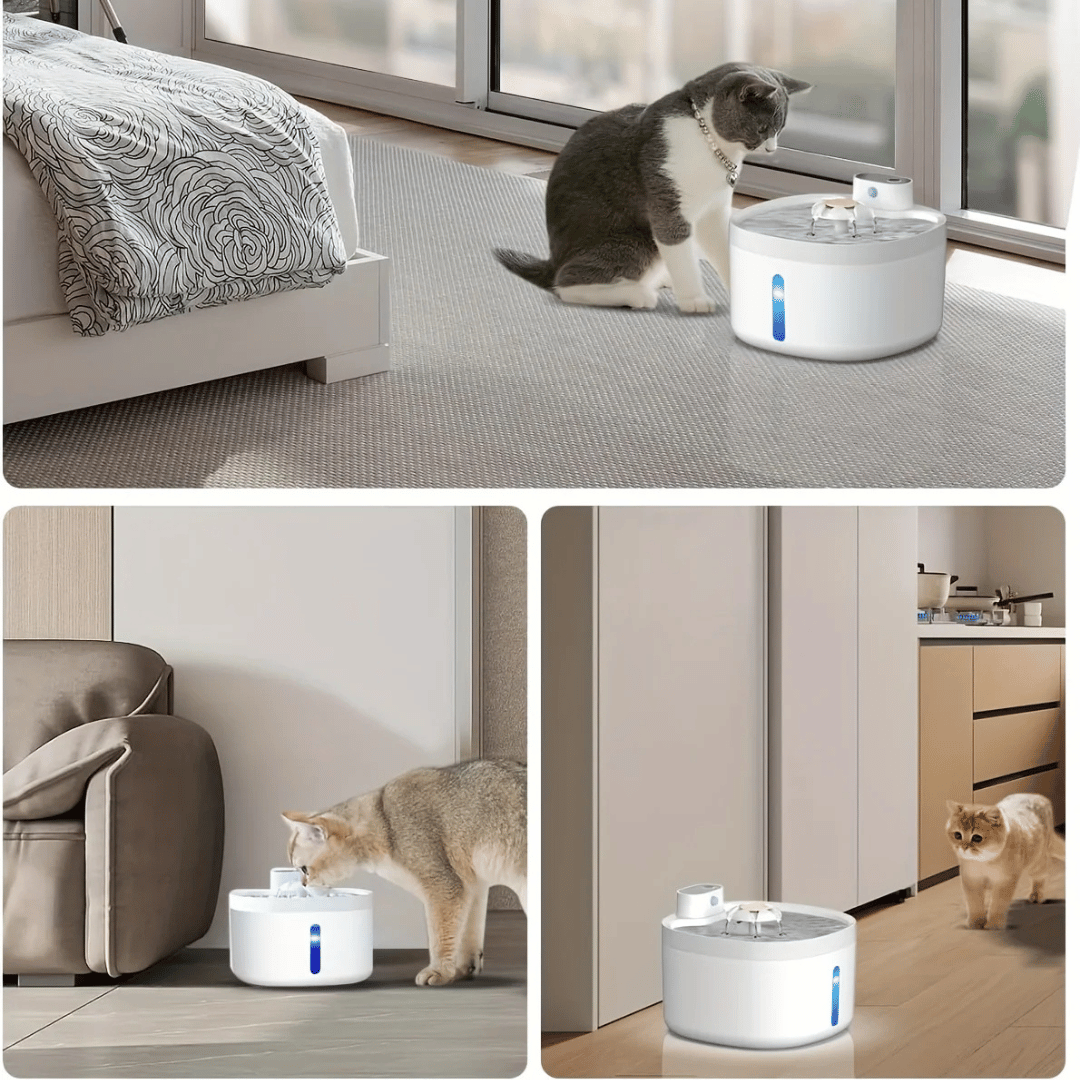 Wireless Pet Water Fountain for Fresh Flowing Drinking Water for Cats & Dogs | USB Rechargeable
