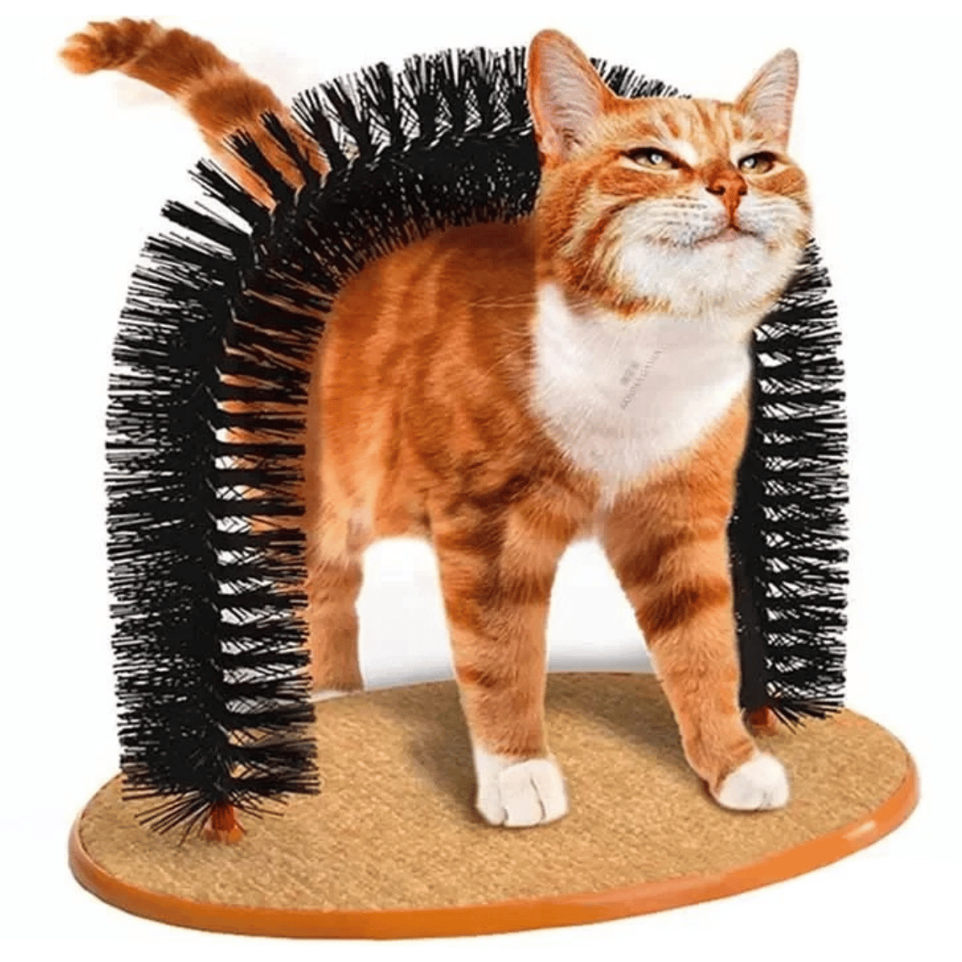 Cat Self-Groomer Rubbing Brush Arch for Scratching & Play 1